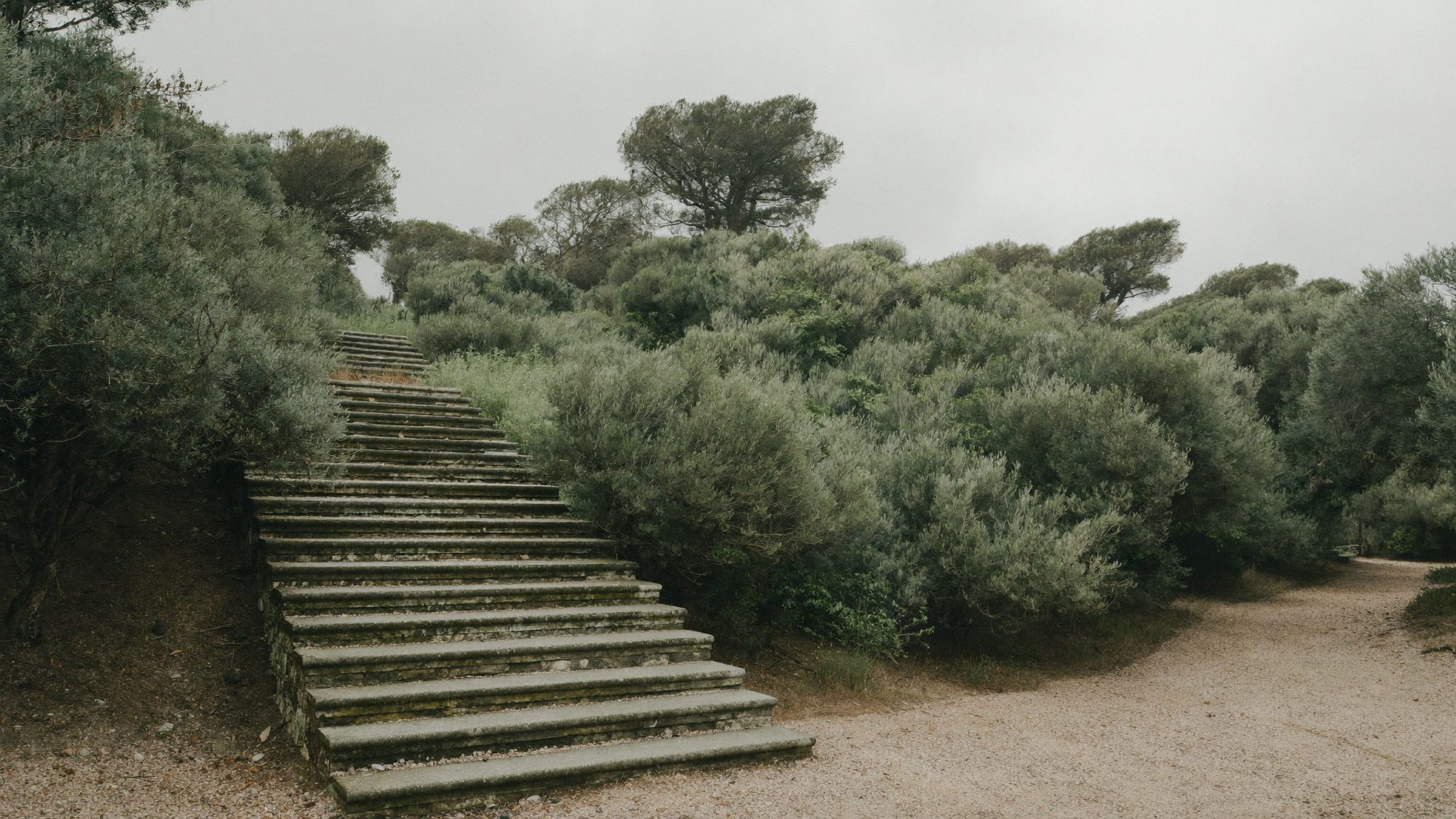 Escadaria de pedra que sobe, em tons de oliveira, símbolo do método degrau a degrau